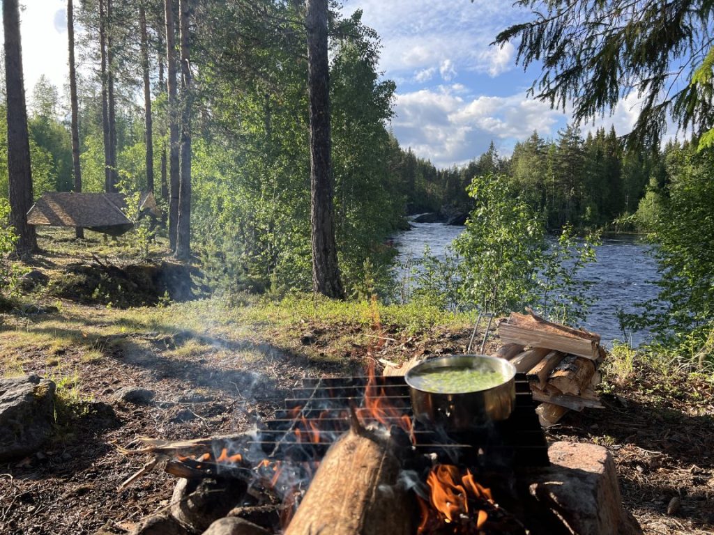 Outdoor cooking